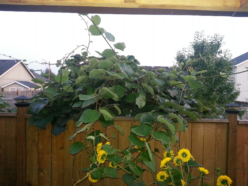 20150817_202146_resized.jpg