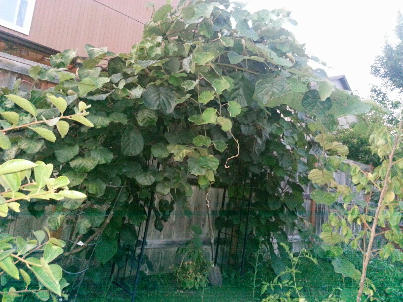 20150817_202217_resized.jpg