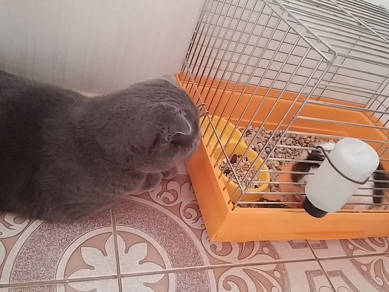 0804151743.jpg