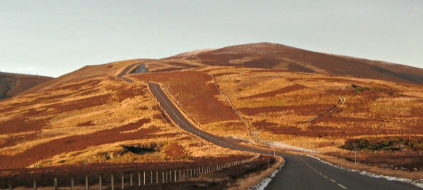 134288_600.jpg