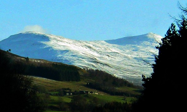 199290_600.jpg