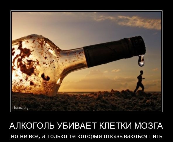 92311522_alk_ubiyca.jpg