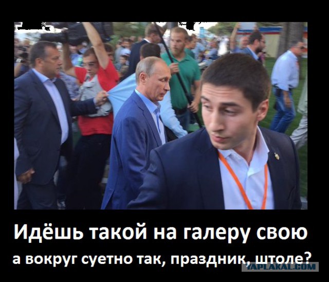 6182008.jpg
