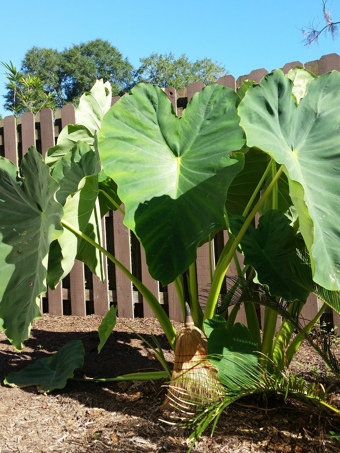 20150919_094651.jpg