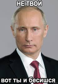 6301051.jpg