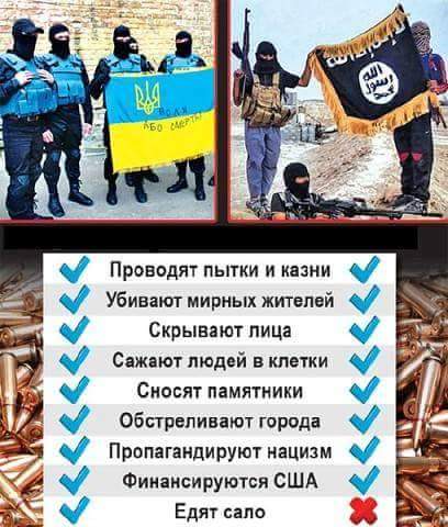 FB_IMG_1443981823790.jpg