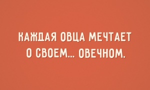 preview-300x180-300-1445340701.jpg