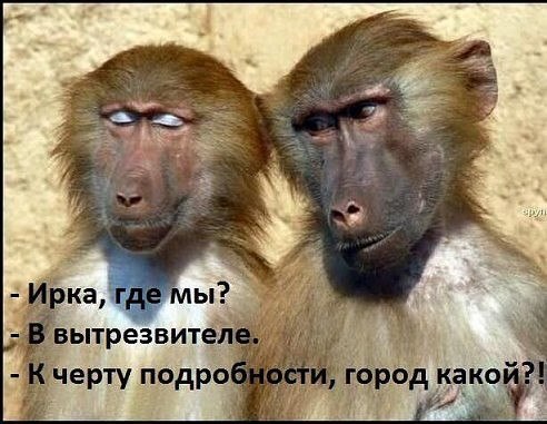 image (9).jpg