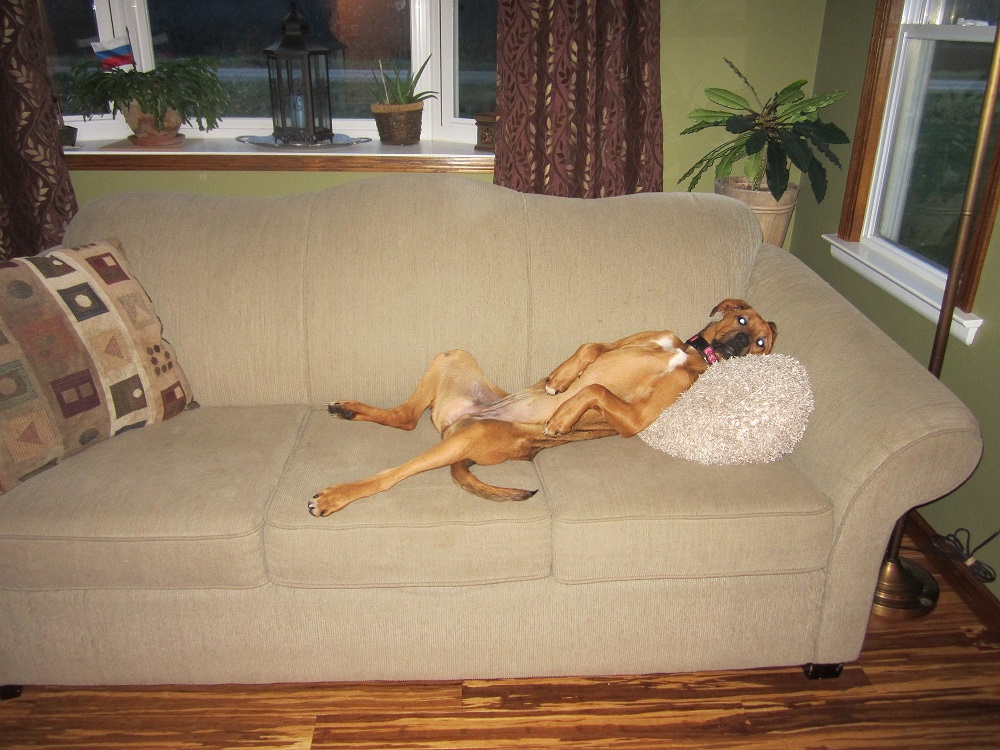 2015-10-28 08.14.19.jpg