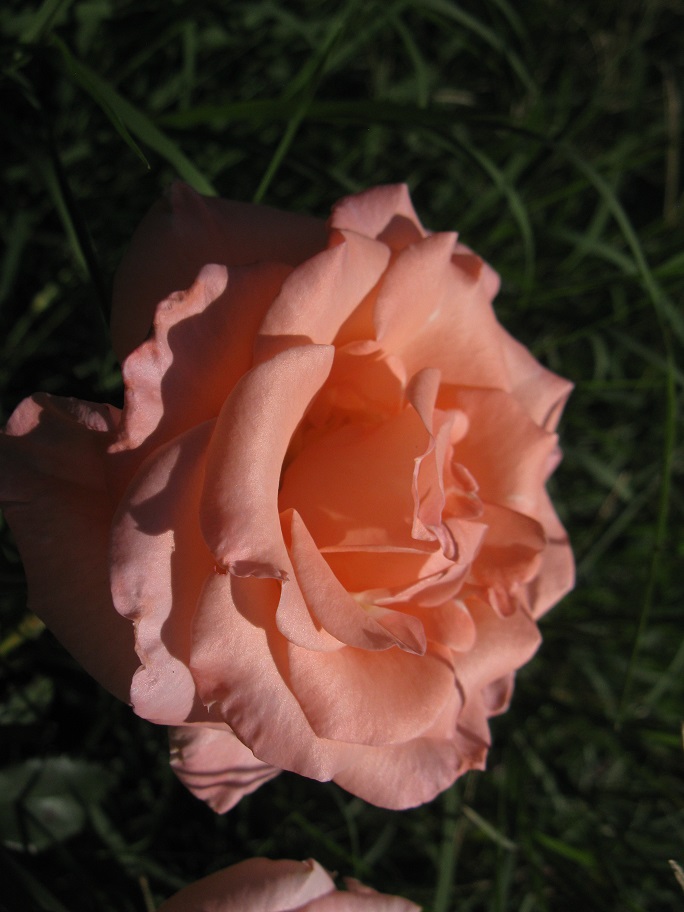 IMG_1632.JPG