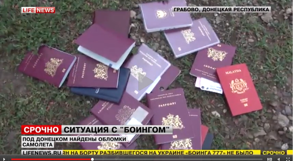 Pasport MH17.png