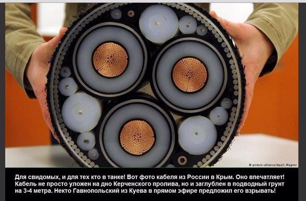 Foto kabelja vpechatljaet.jpg