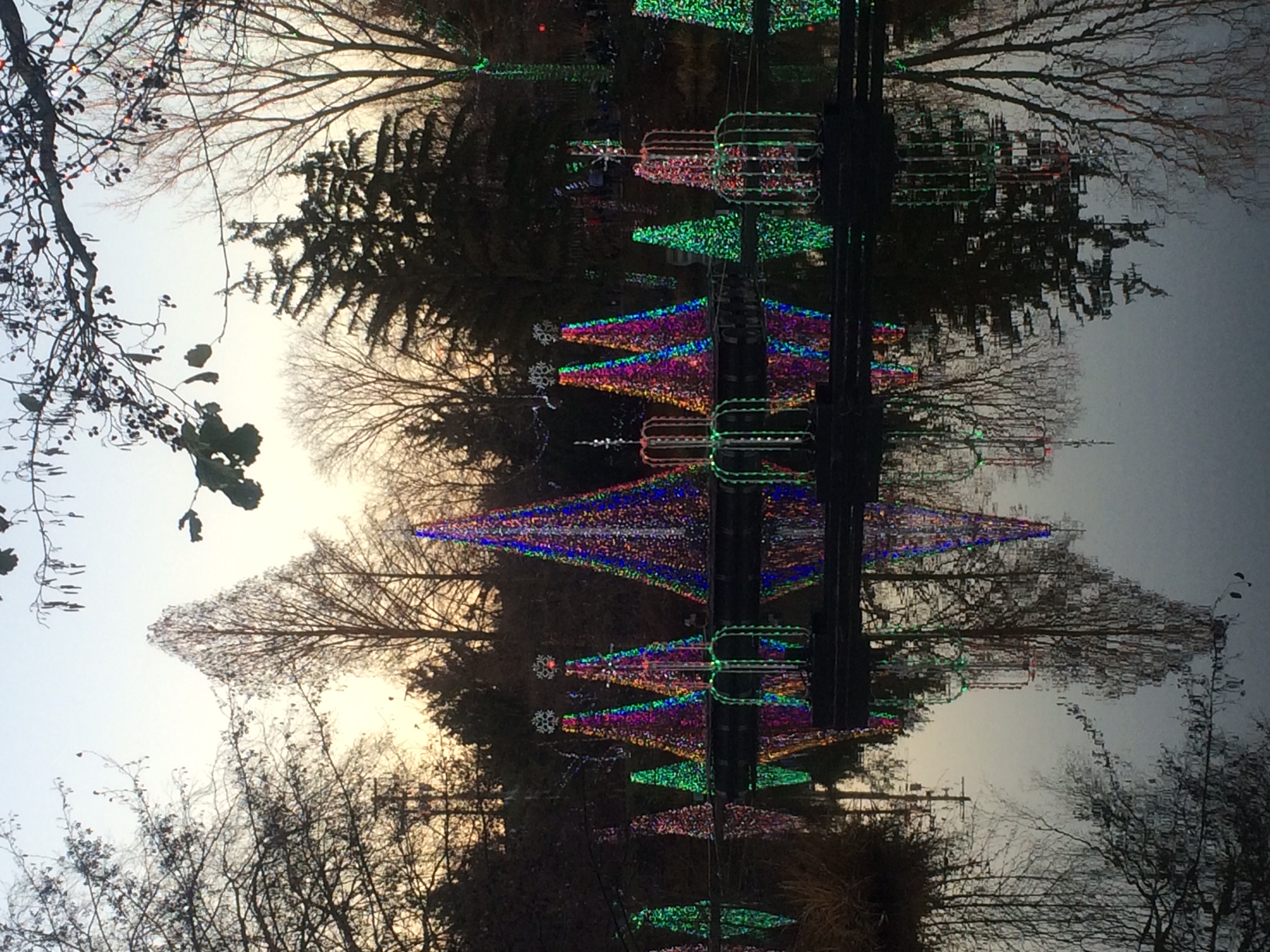 image.jpeg