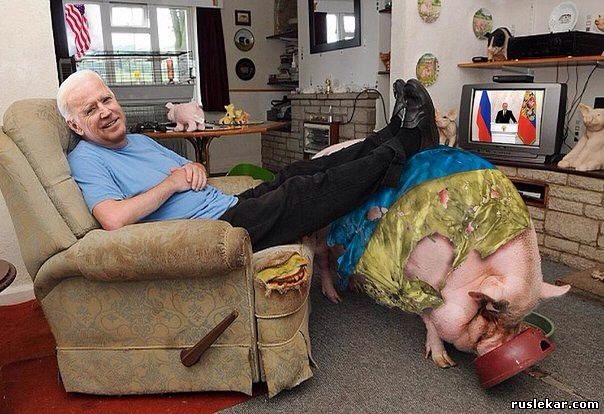 image.jpg
