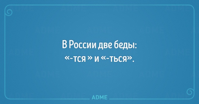 5119060-650-1449835011-Artboard2.jpg