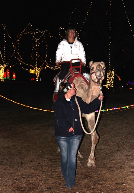 IMG_8097 - Copy.JPG