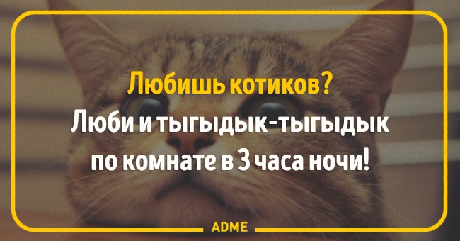 6077860-650-1453885230-2.jpg