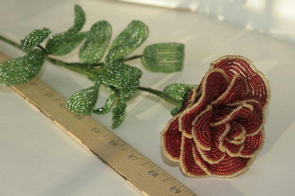 rosa1.jpg