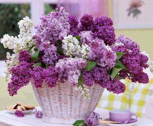 ScreenHunter_654 Feb. 06 22.11.jpg