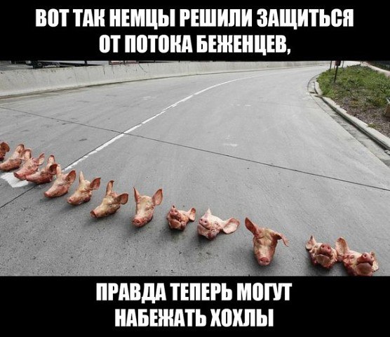 FOemAPStVdA.jpg