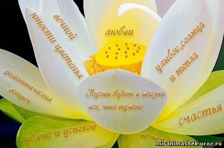 пожелания-любви-и-счастья-цветок2.jpg