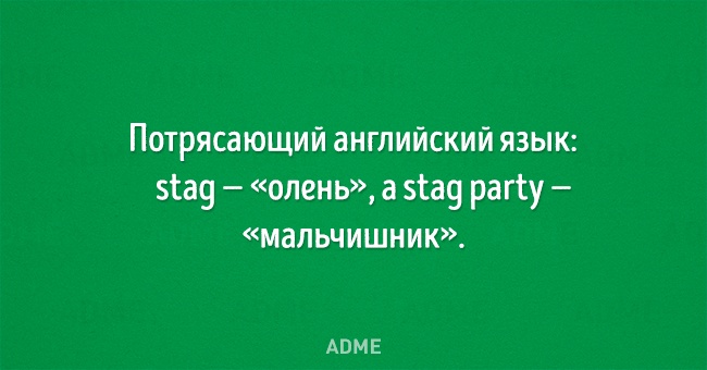 6424660-650-1455012682-15.jpg