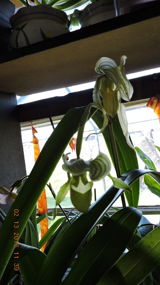 DSCN0036.JPG
