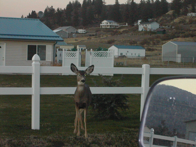 DSCN1117.JPG