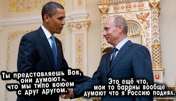 100980_original.jpg