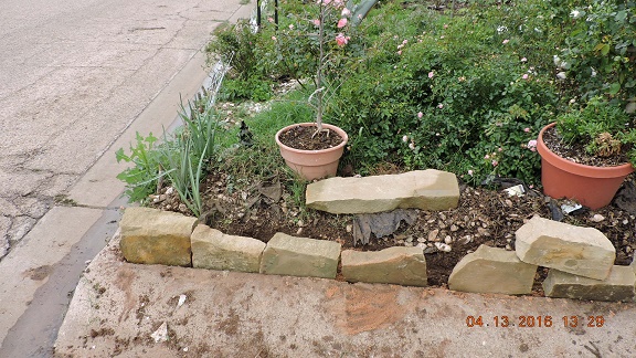 DSCN0903.JPG