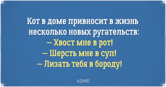8776165-650-1461060247-16.jpg