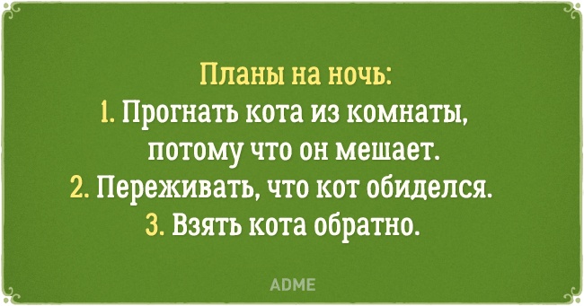 8776815-650-1461060247-6.jpg