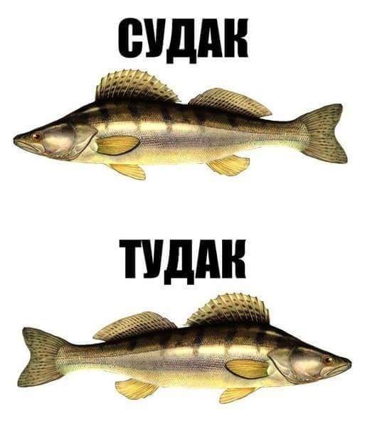 FB_IMG_1460687316704.jpg