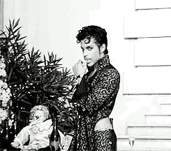 image.gif