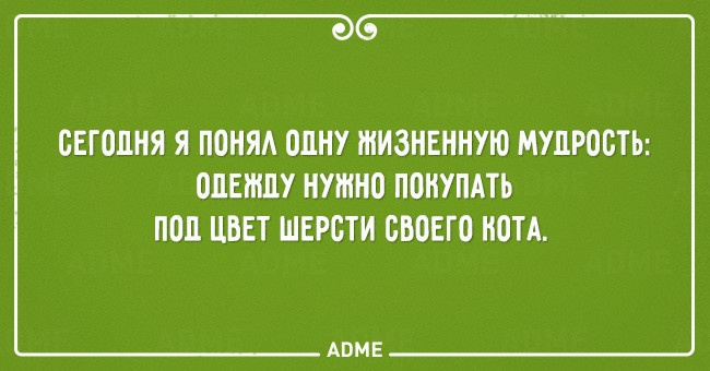 segodnya-ya-ponyaa-olnu-650-1446734173.jpg