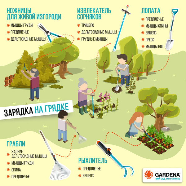 Инфографика 2.jpg