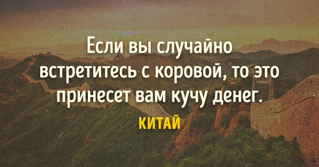 10834115-2-650-1467289398.jpg