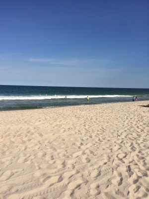 IMG_4938_2.jpg