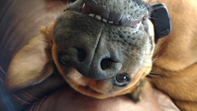 IMG_20160818_151520151.jpg