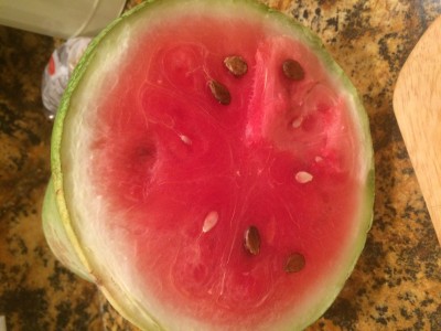 image.jpeg