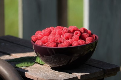 Chicago 1397 (2).JPG