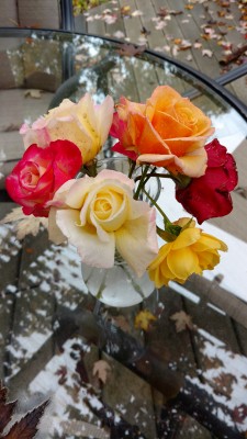 IMG_20161006_153215971.jpg