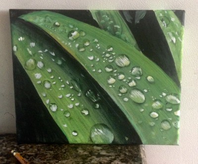 FullSizeRender 2.jpg