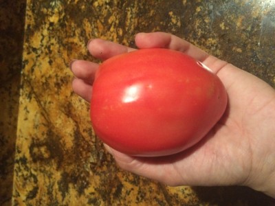 image.jpeg