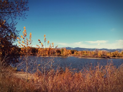 2016-10-16-13-00-55-413.jpg