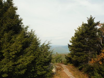 DSCF4708.JPG