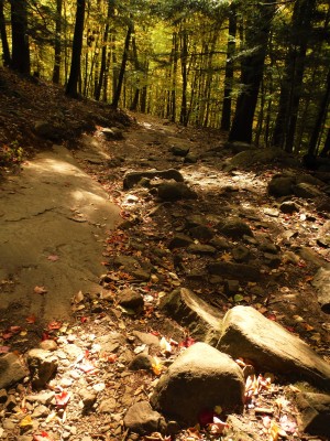 DSCF4803.JPG