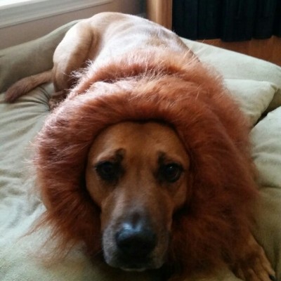 2016-10-21 11.17.28.jpg