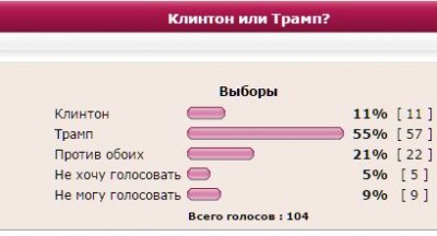 выборы.JPG