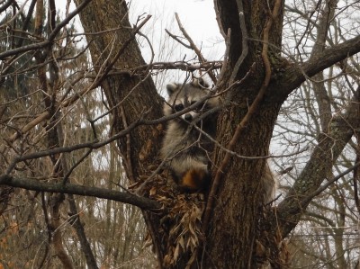 DSCF5053.jpg